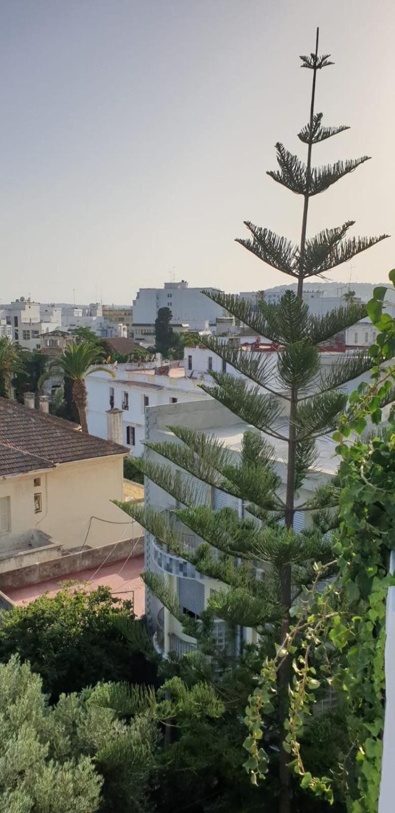 Guesthouse Kasbah Old Medina Tanger エクステリア 写真